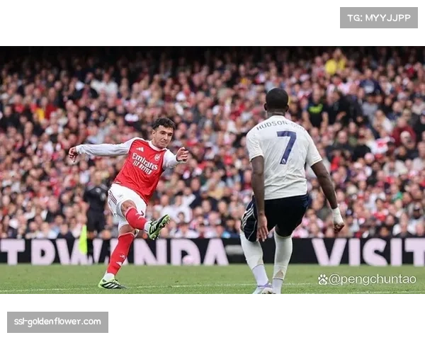 阿森纳2.5亿镑引援投资效果分化 苏维门迪无缝融入英超获好评