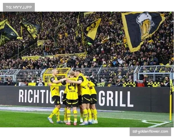 多特主场伊杜纳信号公园威力减弱 本赛季已遭两场败绩